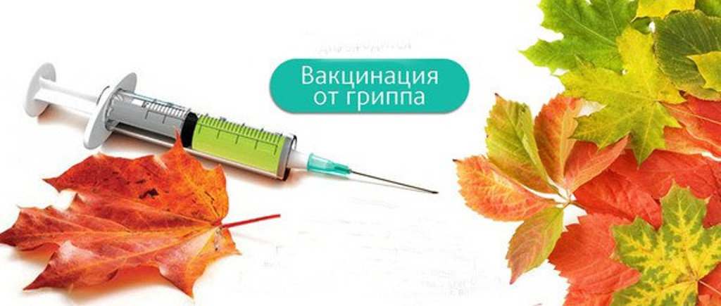 Об организации мероприятий по профилактике гриппа