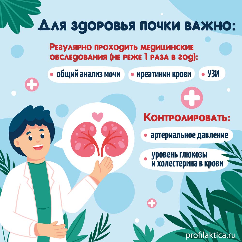 Во всемирный день почки советы от врача-уролога, Дмитрия Саушкина