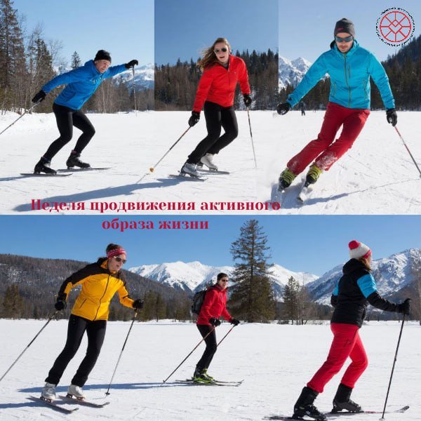 Здоровый образ жизни – это ежедневный выбор в пользу движения