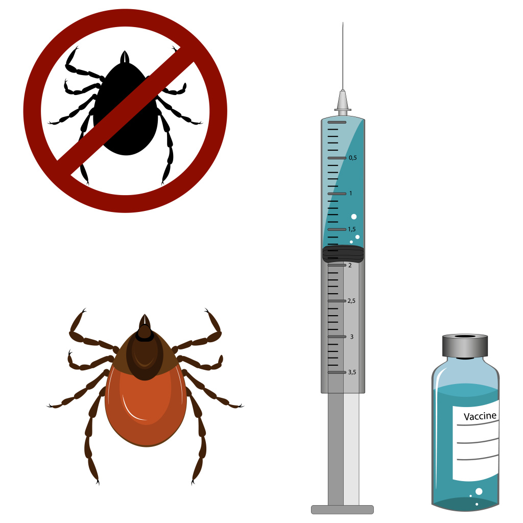 ВАКЦИНОПРОФИЛАКТИКА КЛЕЩЕВОГО ЭНЦЕФАЛИТА
